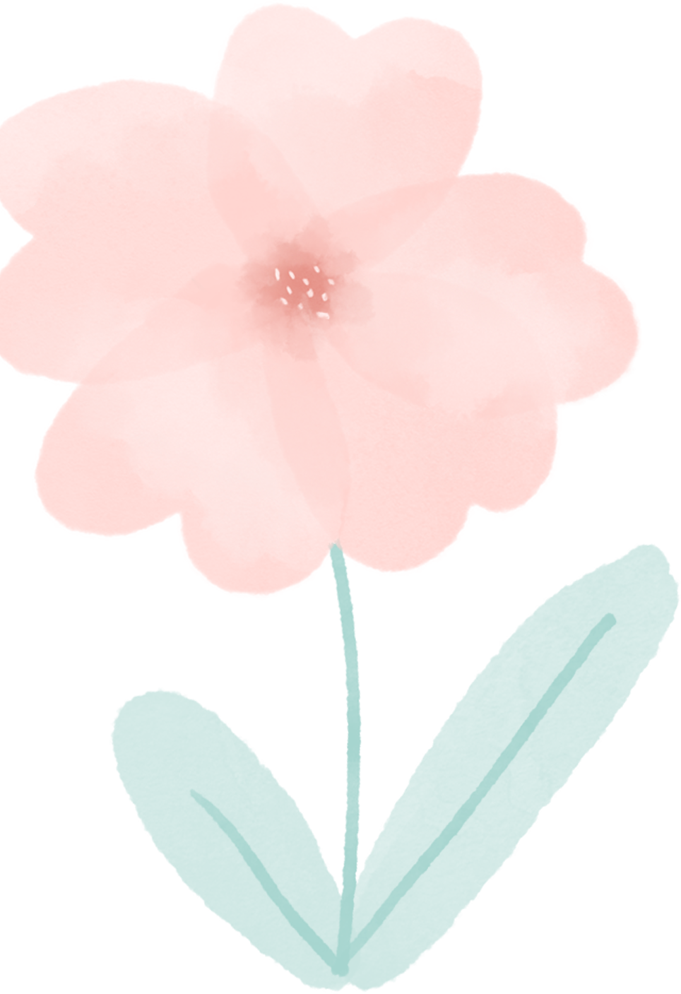 【三赛三竞】“莲姐姐”金花团：短视频剪辑培训——赋能女性成长，点亮创意之光